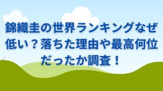 錦織圭の世界ランキングなぜ低い？落ちた理由や最高何位だったか調査！